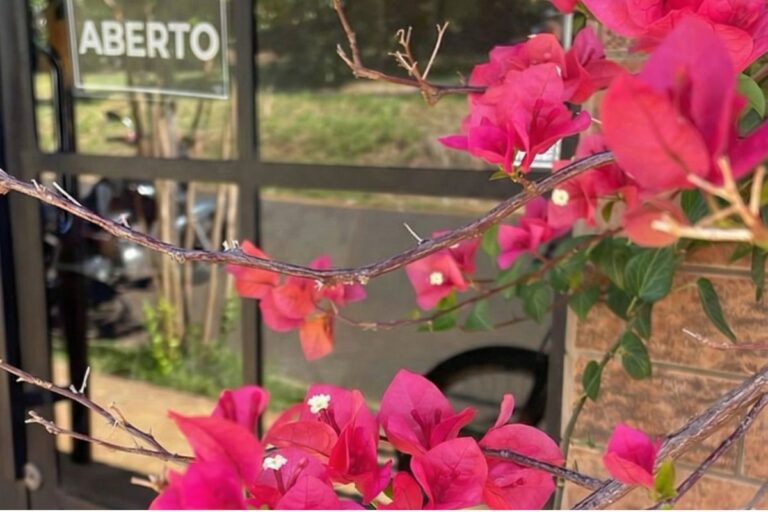 Profissionais certos aumentam e muito as chances de sobrevivência.