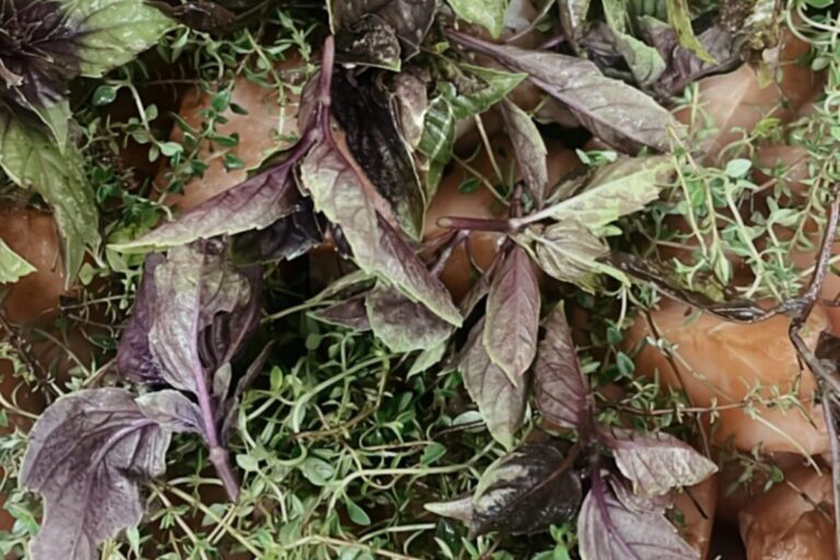 frango desfiado temperado porcionado para recheios